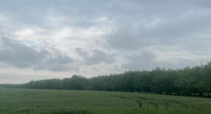 Poljoprivredno zemljište | 4zida