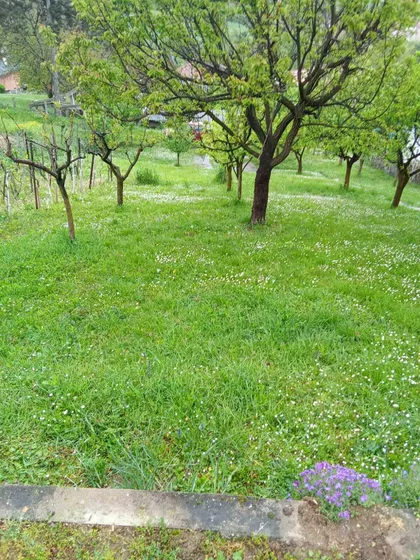 Sremska Kamenica | 4zida.rs