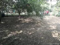 Ilićevo, Gradske lokacije, Kragujevac | 4zida.rs