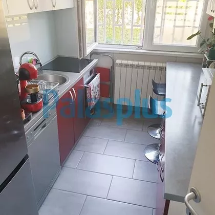 Ranka Tajsića | 4zida.rs