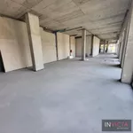 Lokal | 4zida