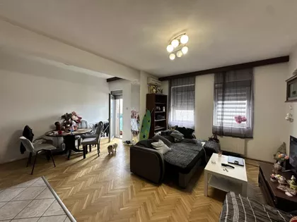 Salajka | 4zida.rs