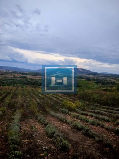 Bošnjane | 4zida.rs