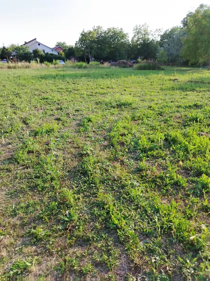 Blok Sutjeska | 4zida.rs