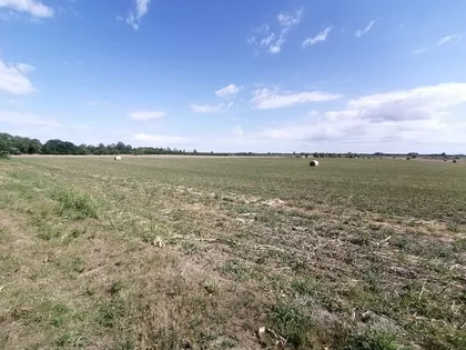 Mali Radanovac | 4zida.rs