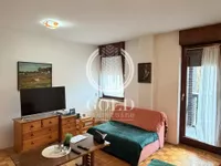 Sajmište, Gradske lokacije, Novi Sad | 4zida.rs