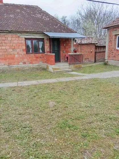 Kajmakčalanska | 4zida.rs