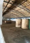 Hala | 4zida