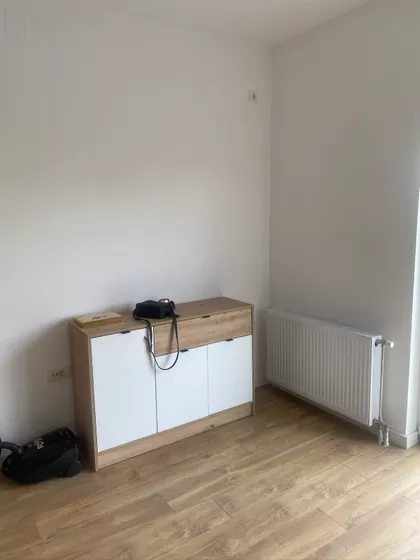 Vase Ostojića | 4zida.rs