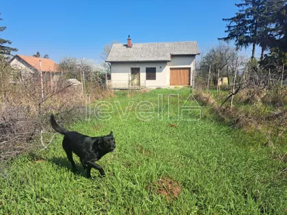 Čortanovci | 4zida.rs