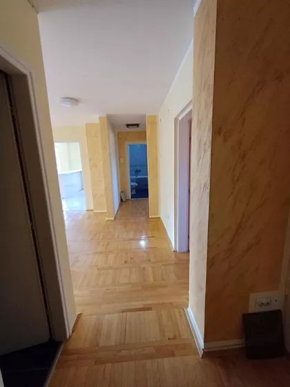 Božidarčeva | 4zida.rs
