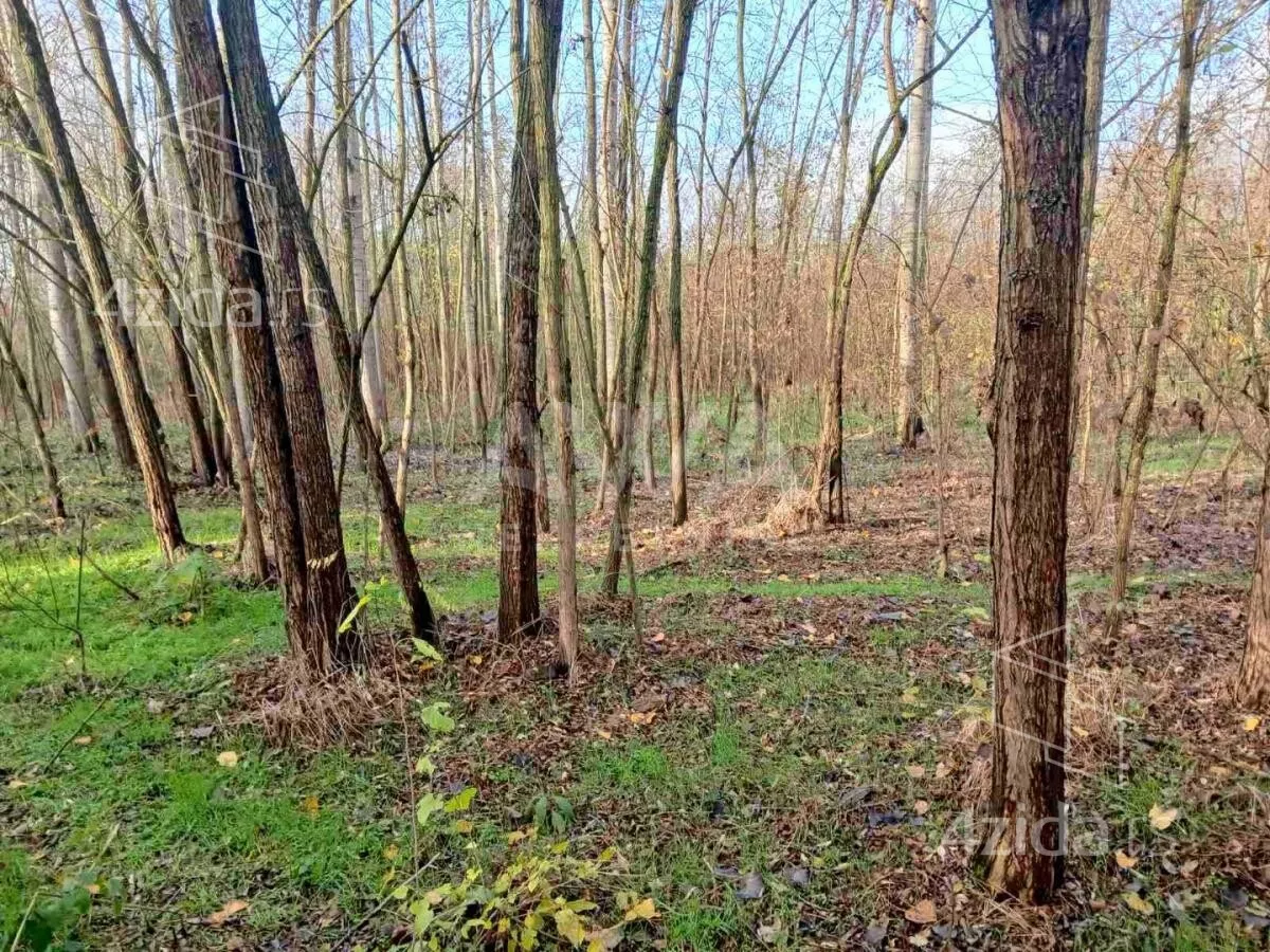 Poljoprivredno zemljište | 4zida