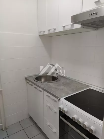 Petra Drapšina | 4zida.rs