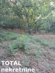 Rakovac, Okolne lokacije, Beočin | 4zida.rs | 4zida.rs