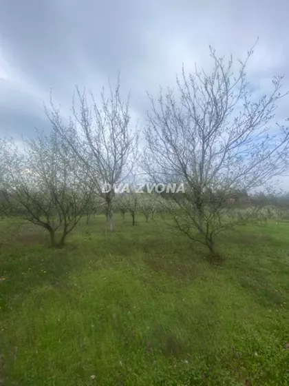 Čortanovci | 4zida.rs