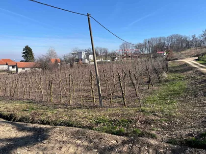 Put Za Guču | 4zida.rs