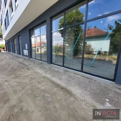 Salajka | 4zida.rs