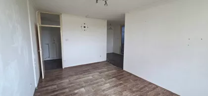 Radijalac | 4zida.rs