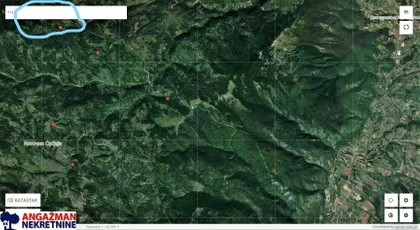 Slobodarska | 4zida.rs