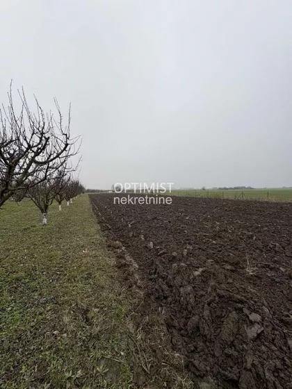 Male međe nova 28. | 4zida.rs