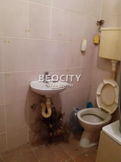 Kopernikova | 4zida.rs