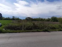 Pasi Poljana, Palilula, Gradske lokacije, Niš | 4zida.rs