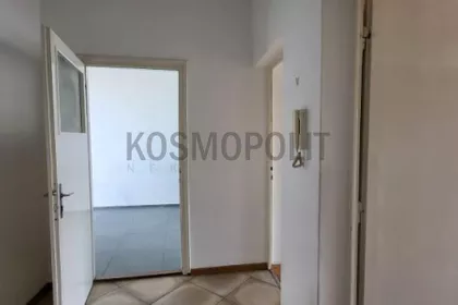Cara Dušana | 4zida.rs