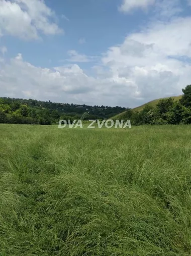 Čortanovci