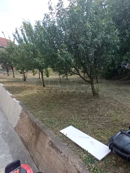 Luja Adamiča | 4zida.rs