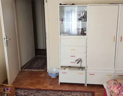 Skendera Kulenovića | 4zida.rs