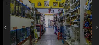 Nova Detelinara | 4zida.rs