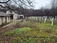 Stara zvezda, Palilule, Gradske lokacije, Kragujevac | 4zida.rs