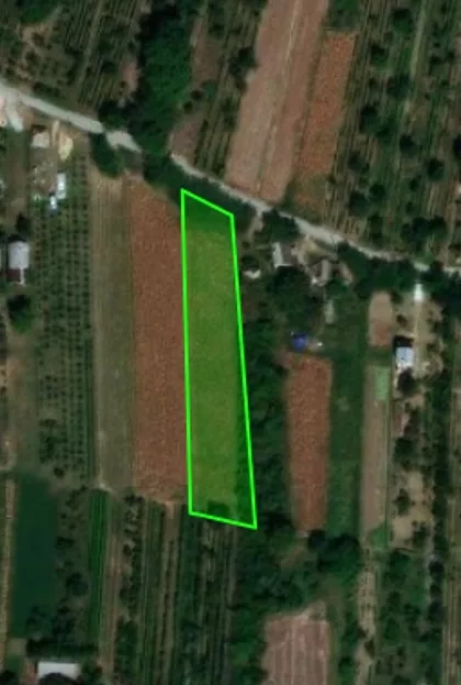 Janka Čmelika | 4zida.rs