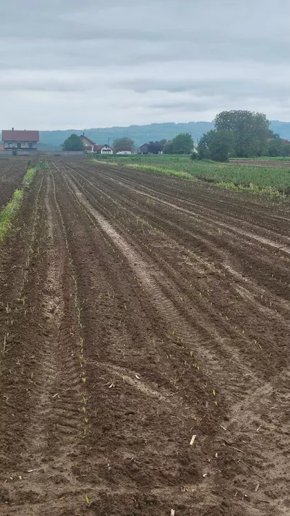 Branka Ćopića BB | 4zida.rs