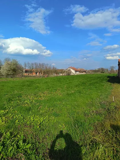 Đenerala Draže Mihailovića bb | 4zida.rs