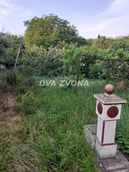 Čortanovci | 4zida.rs