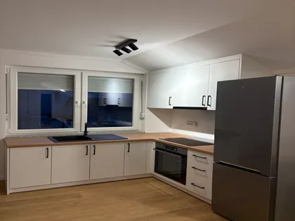 Lajoša Joa 41 | 4zida.rs