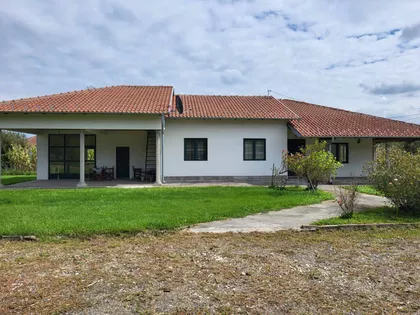 Dositeja Obradovića | 4zida.rs