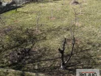 Popovica, Sremska Kamenica, Gradske lokacije, Novi Sad | 4zida.rs
