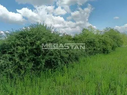 Šiljakovac | 4zida.rs