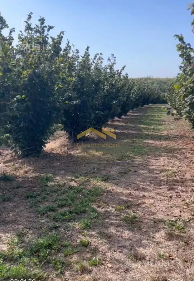 Poljoprivredno zemljište | 4zida