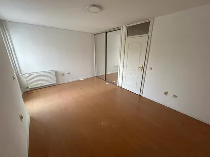 ESAD PASINA | 4zida.rs