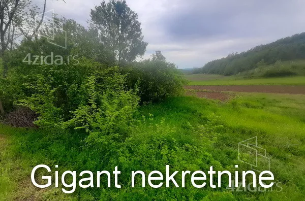 Plac | 4zida