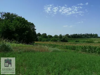 Zvečka | 4zida.rs