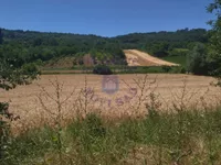 Sviloš, Okolne lokacije, Beočin | 4zida.rs