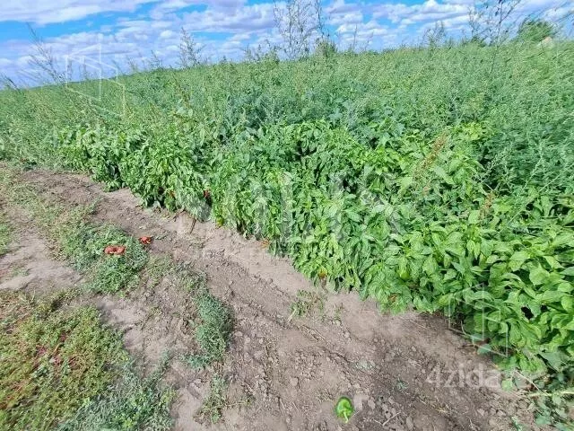 Poljoprivredno zemljište | 4zida