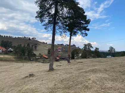 Lazara Kuzelja | 4zida.rs