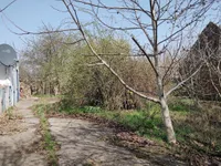 Surduk, Okolne lokacije, Stara Pazova | 4zida.rs