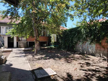 Petra Drapšina | 4zida.rs