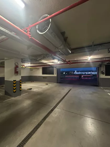 Miodraga Vlajića Šuke | 4zida.rs